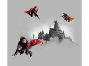 Foto zavjese Harry Potter FCSXL6609 | 180 x 160