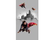 Dječja flis fototapeta Harry Potter FTD2P5613 | 150 x 270 cm