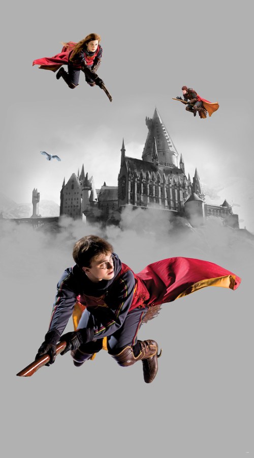 Dječja flis fototapeta Harry Potter FTD2P5613 | 150 x 270 cm - Foto tapete