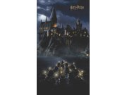 Dječja flis fototapeta Harry Potter FTD2P5621 | 150 x 270 cm Foto tapete