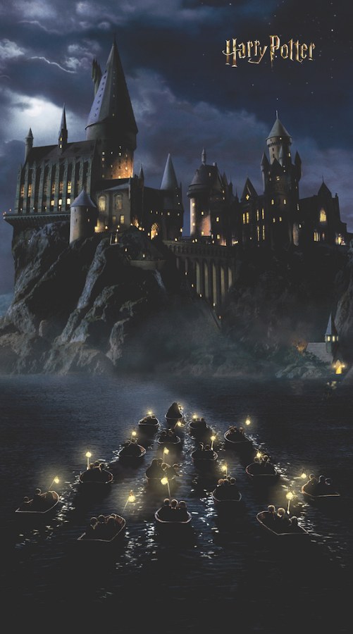 Dječja flis fototapeta Harry Potter FTD2P5621 | 150 x 270 cm - Foto tapete