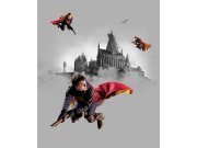 Dječja flis fototapeta Harry Potter FTD3P5167 | 225 x 270 cm Foto tapete