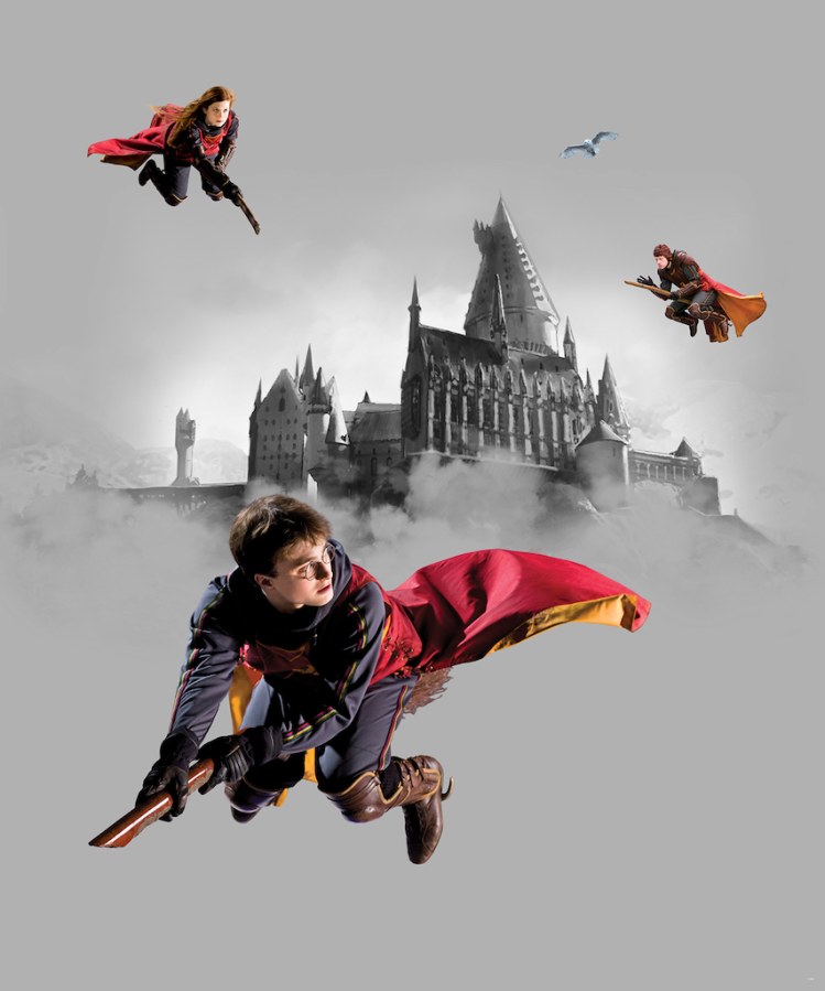 Dječja flis fototapeta Harry Potter FTD3P5167 | 225 x 270 cm - Foto tapete