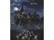 Dječja flis fototapeta Harry Potter FTD3P5175 | 225 x 270 cm Foto tapete