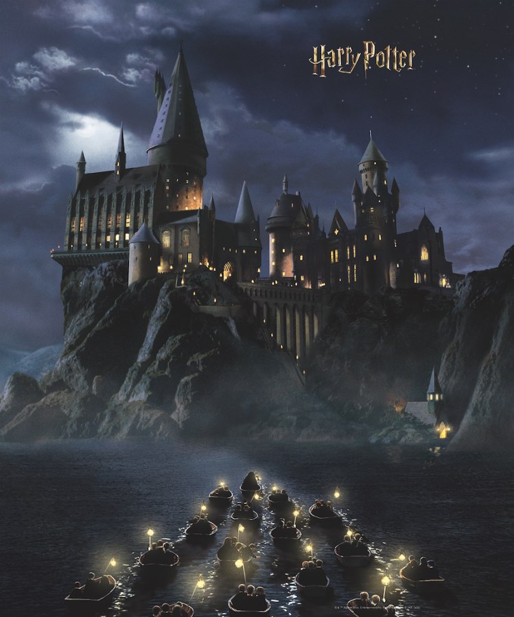 Dječja flis fototapeta Harry Potter FTD3P5175 | 225 x 270 cm - Foto tapete