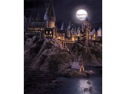 Dječja flis fototapeta Harry Potter FTD3P5177 | 225 x 270 cm Foto tapete