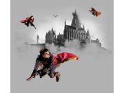 Dječja flis fototapeta Harry Potter FTD4P5095 | 300 x 270 cm Foto tapete