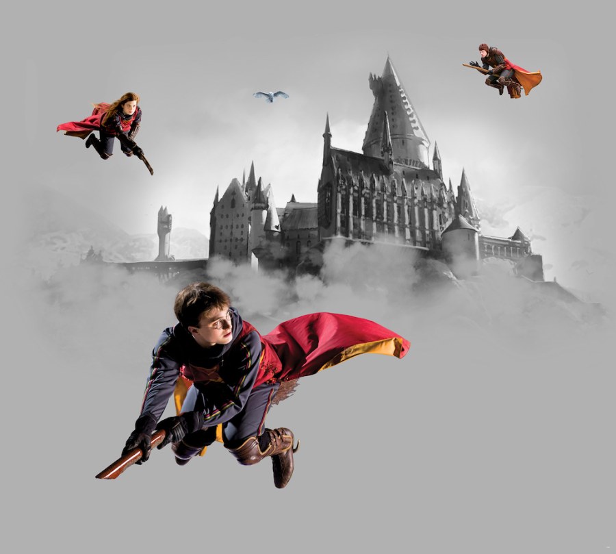 Dječja flis fototapeta Harry Potter FTD4P5095 | 300 x 270 cm - Foto tapete