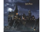 Dječja flis fototapeta Harry Potter FTD4P7803 | 300 x 270 cm Foto tapete