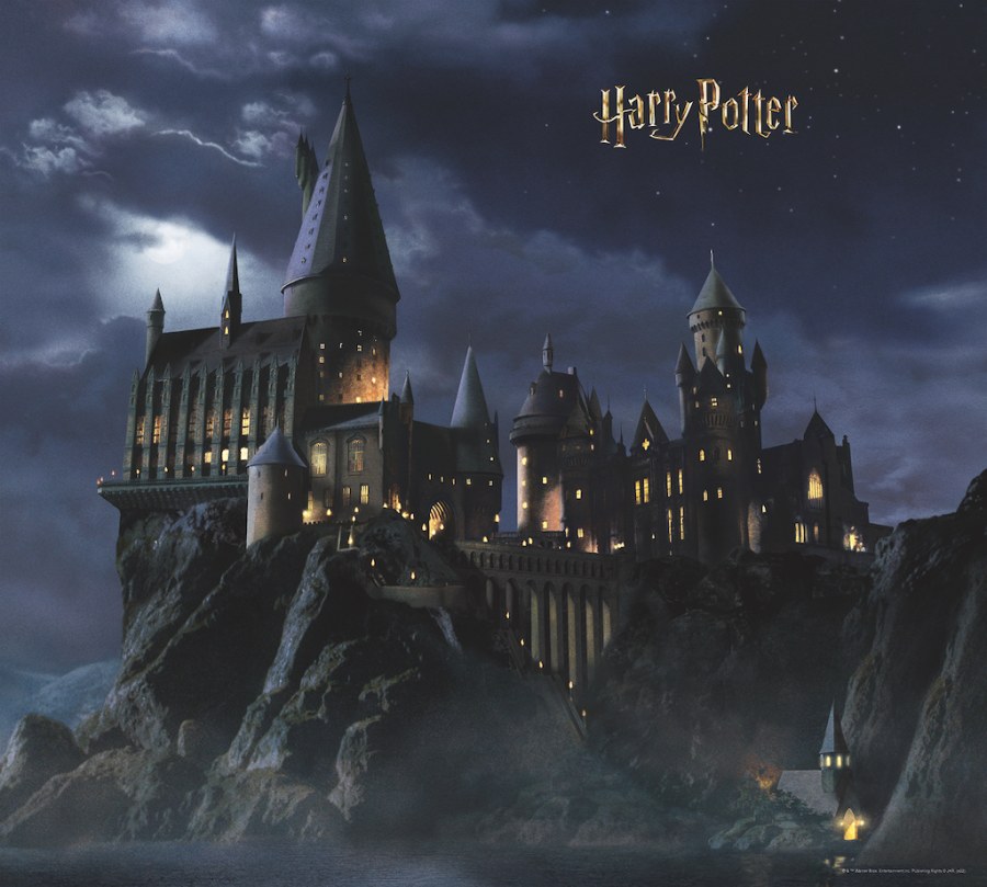 Dječja flis fototapeta Harry Potter FTD4P7803 | 300 x 270 cm - Foto tapete