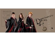 Dječja flis fototapeta Harry Potter FTDNH5515 | 170 x 75 cm Foto tapete