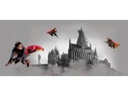 Dječja flis fototapeta Harry Potter FTDNH5517 | 170 x 75 cm Foto tapete