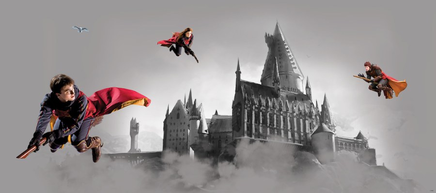 Dječja flis fototapeta Harry Potter FTDNH5517 | 170 x 75 cm - Foto tapete