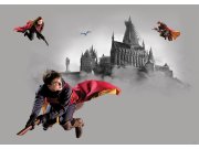 Dječja flis fototapeta Harry Potter FTDNM5293 | 155 x 110 cm Foto tapete