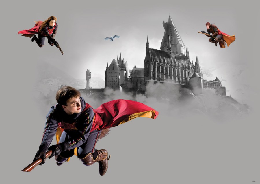 Dječja flis fototapeta Harry Potter FTDNM5293 | 155 x 110 cm - Foto tapete