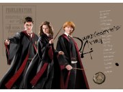 Dječja flis fototapeta Harry Potter FTDNM5295 | 155 x 110 cm Foto tapete