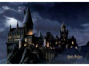 Dječja flis fototapeta Harry Potter FTDNM7903 | 155 x 110 cm