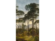 Grandeco - Flis fototapeta za zid, Stabla, priroda, A46301 | Ljepilo gratis Flis fototapeta za zid, Stabla, priroda, A46301 | Ljepilo gratis