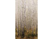 Grandeco - Flis fototapeta za zid, Stabla, Šuma, A42601 | Ljepilo gratis Flis fototapeta za zid, Stabla, Šuma, A42601 | Ljepilo gratis