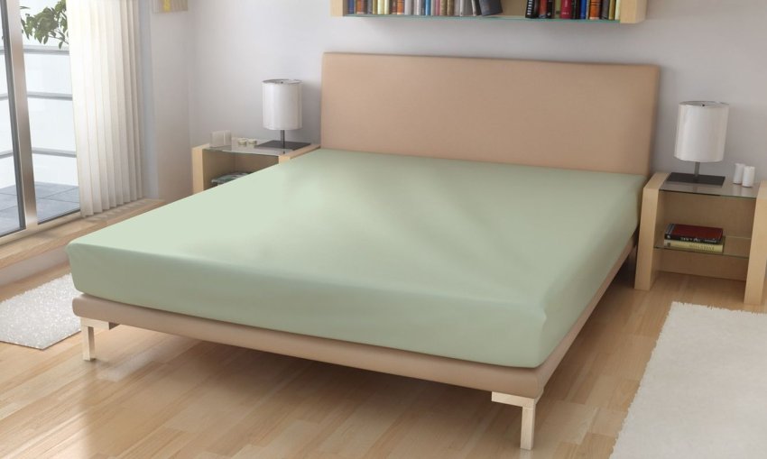 Polášek Frotir plahta Mint Pamuk, Poliamid, 220g/m, 90/200 cm - Frotir 90x200