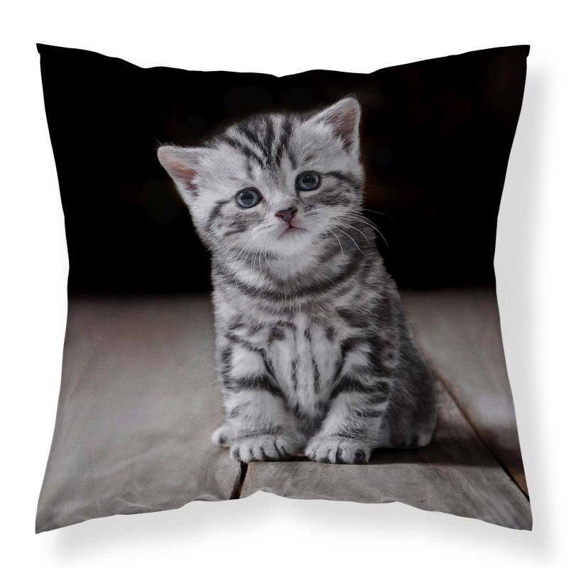 Jastučići - pokrivači za jastuke - DETEXPOL Navlaka za jastuk Mačić micro Poliester, 40/40 cm DETEXPOL Navlaka za jastuk Mačić micro Poliester, 40/40 cm - pokrivači za jastuke