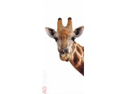 Flis foto tapeta AG Pogled Žirafe FTNV-2851 | 90x202 cm