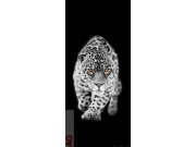Flis foto tapeta AG Leopard FTNV-2897 | 90x202 cm