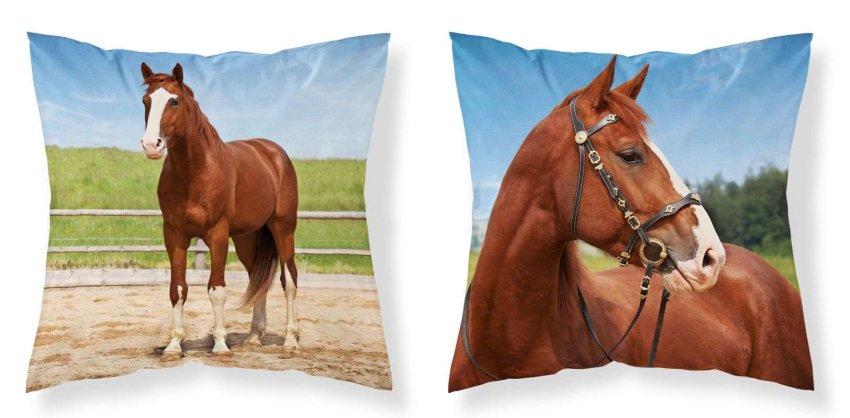 DETEXPOL Navlaka za jastučić Konj u ogradi micro Poliester, 40/40 cm - pokrivači za jastuke