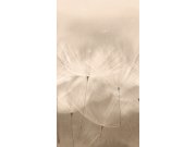 Flis fototapeta za zid, maslačci, 203801, One roll, one motif 2, Grandeco | Ljepilo besplatno