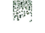 Flis fototapeta za zid, grančice, listovi, A73201, One roll, one motif 2, Grandeco | Ljepilo besplatno