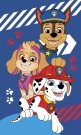 JERRY FABRICS Dječji ručnik Paw Patrol blue Pamuk - Frotir, 50/30 cm Oušky, ručnici, pončo - ručnici 50×30 cm