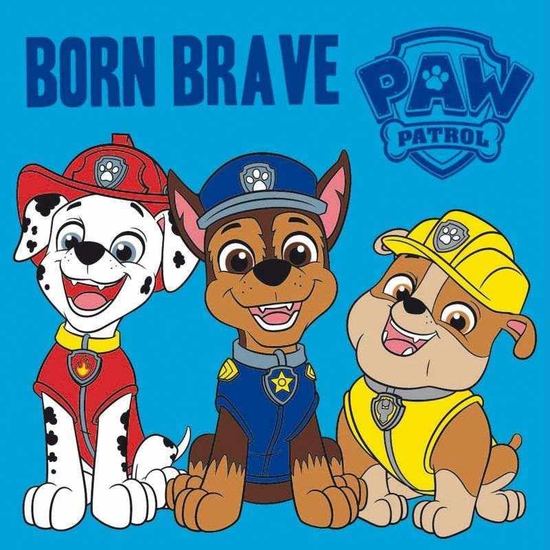 FARO Magični ručnik Paw Patrol Brave Pamuk - Frotir, 30/30 cm - **magické ručníčky** → **magične ručnike**