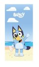 FARO Ručnik Micro Bluey plaža Polyester, 70/140 cm Oušky, ručnici, pončo - **plážové osušky** → **plažne ručnike**