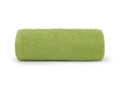 DETEXPOL Frotir ručnik PRIMO zelena Pamuk 450g, 70/140 cm Oušky, ručnici, pončo - **plážové osušky** → **plažne ručnike**