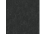 Crna, nježno prošarana flis tapeta za zid 136408, Black & White, Esta