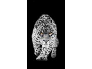 Foto zavjesa Leopard FCPL-6503, 140 x 245 cm Foto zavjese